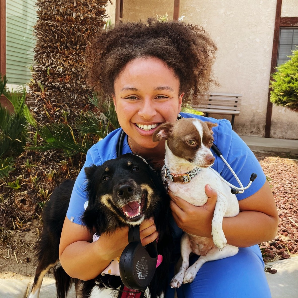 Megan Wells, Assistant holding 2 dogs