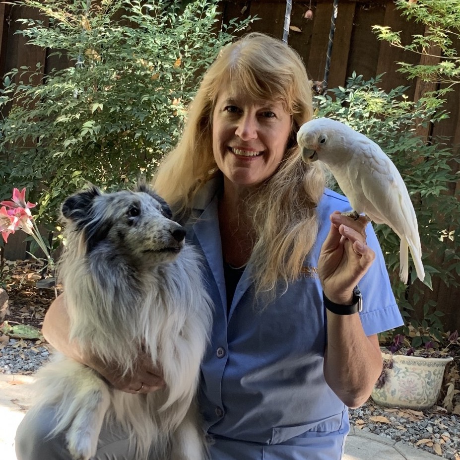 Carla Weinberg, DVM with a dog and a cockatoo