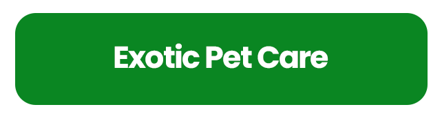 Exotic Pet Care