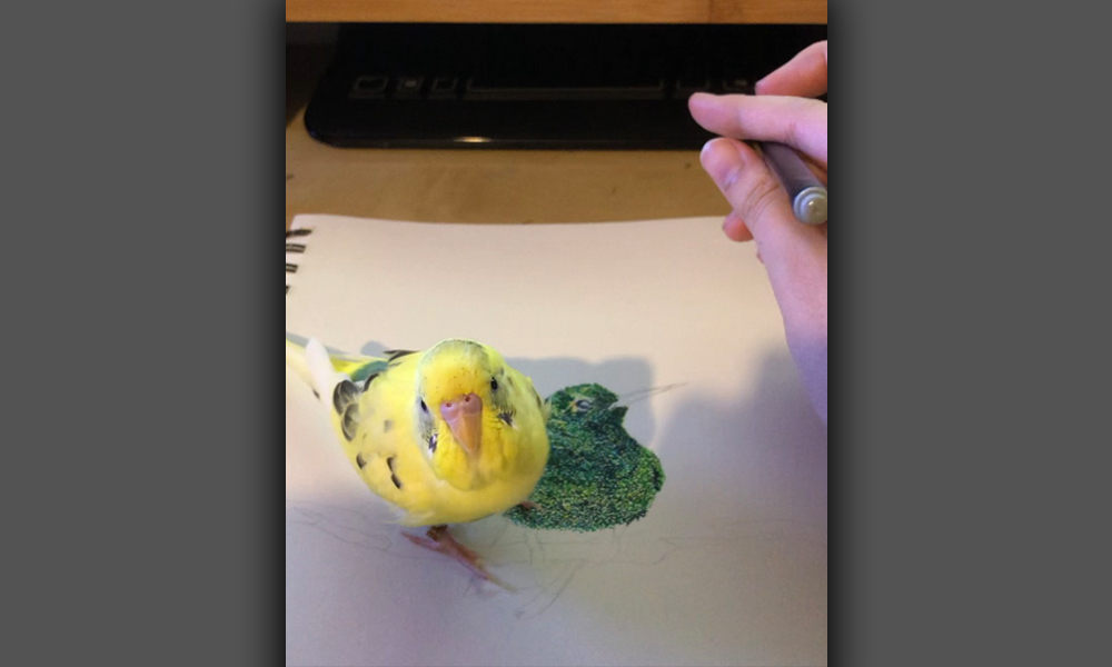 Small yellow and green bird standing on paper while being drawn