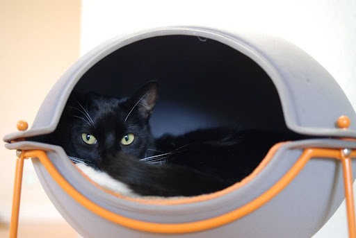 About Us Cover Photo